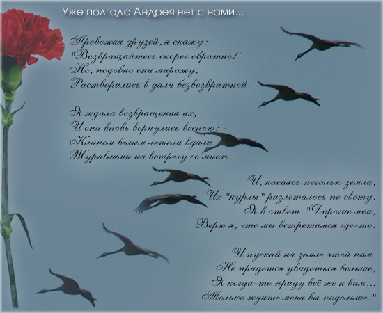 12 �������� 2008